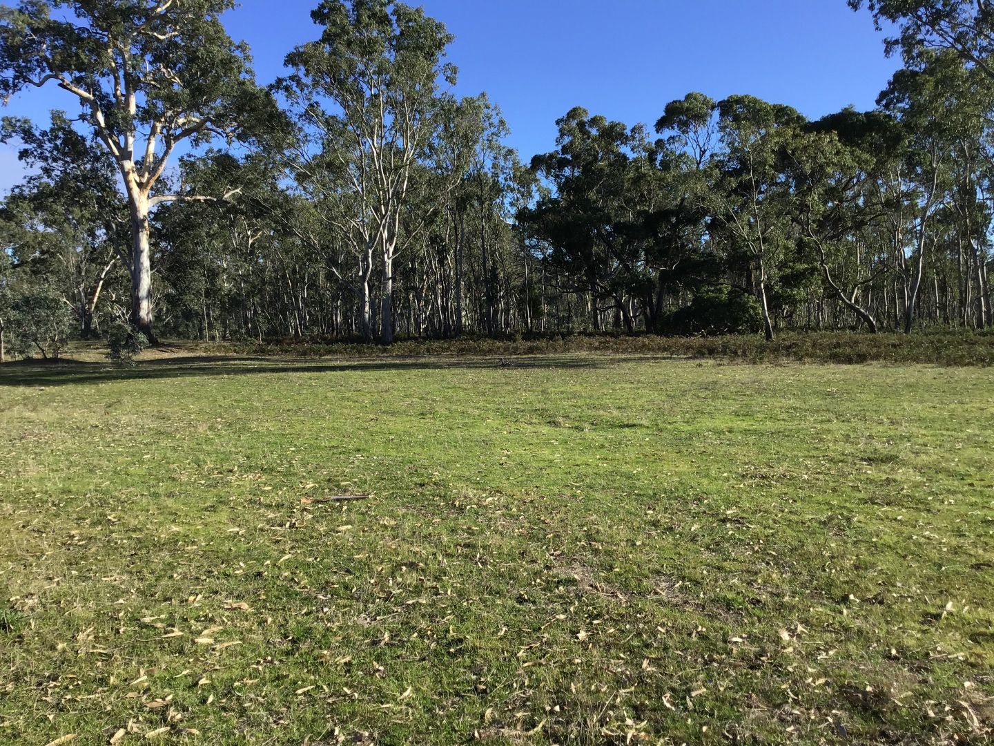 19A Byjuke Forest Road, Lake Mundi VIC 3312, Image 1