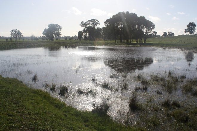 Picture of WINTON VIC 3673