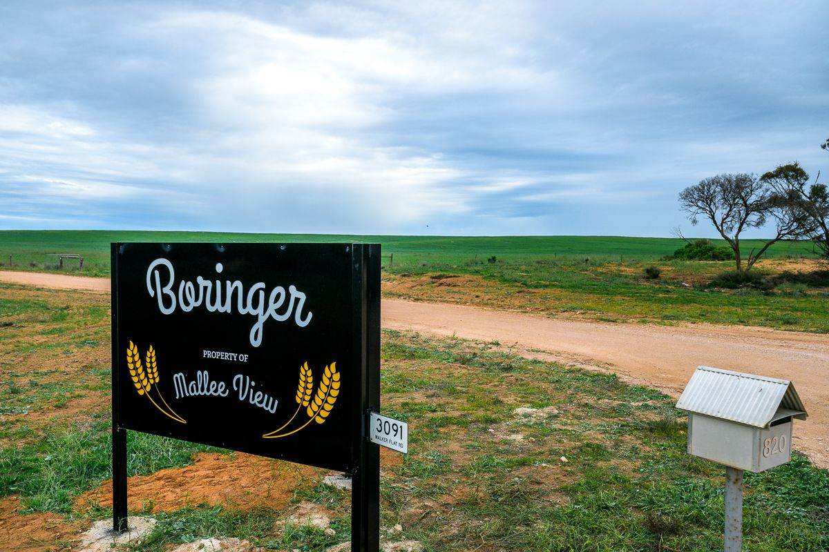 2619 Walker Flat Road, Copeville SA 5308 House for Sale Domain