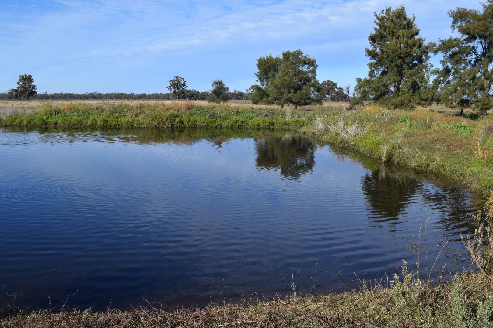 3013 Lachlan Valley Way 'Mareetha', Forbes NSW 2871, Image 2