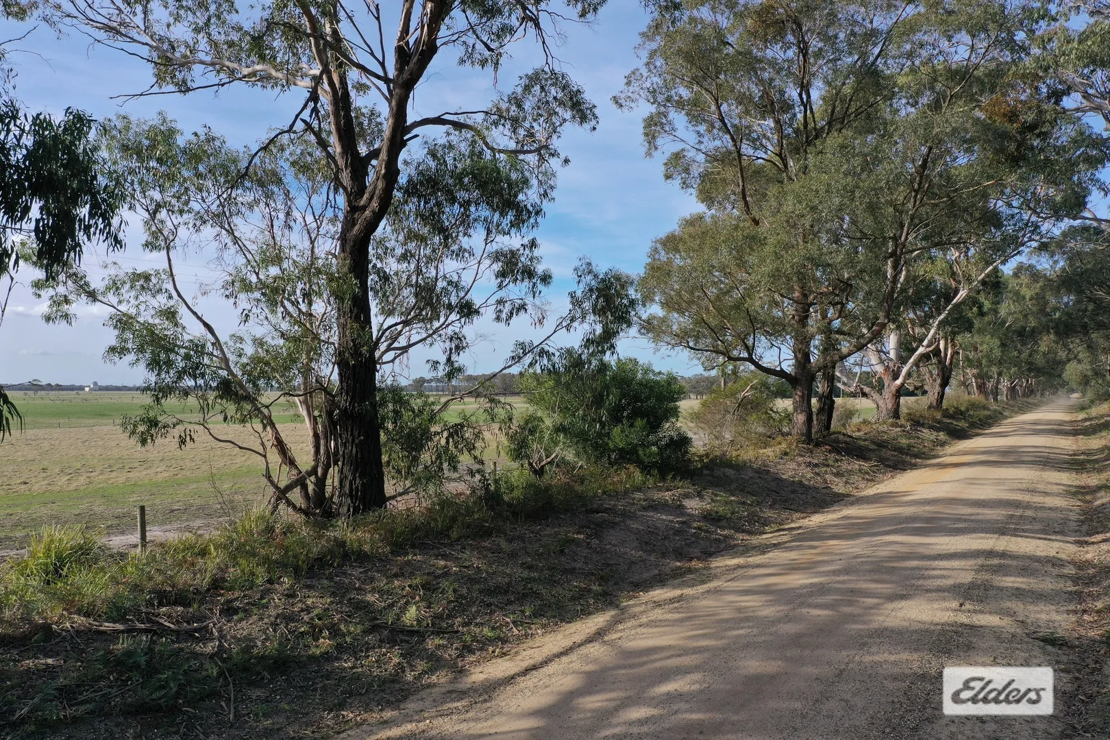 Image 11