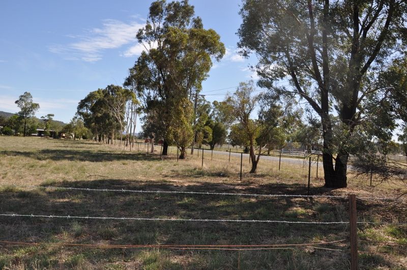 Lot 51 Noble Street, Eugowra NSW 2806, Image 2