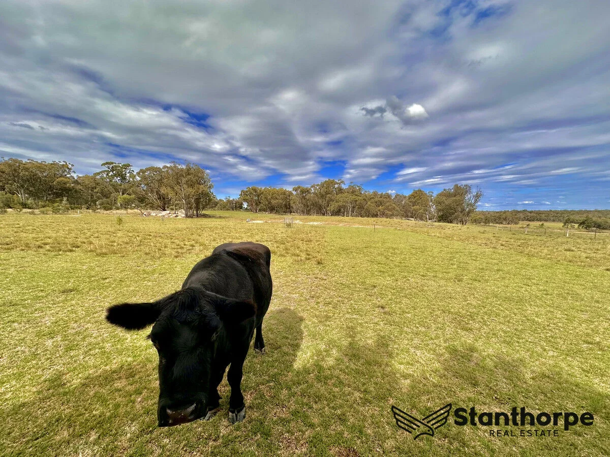Additional image 37 of 553 Donnellys Castle Road, Pozieres QLD 4352