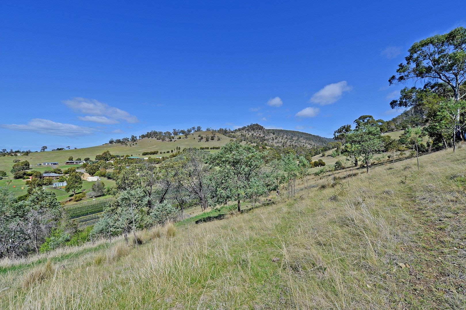 9 Bourbon Ave, Richmond TAS 7025, Image 0