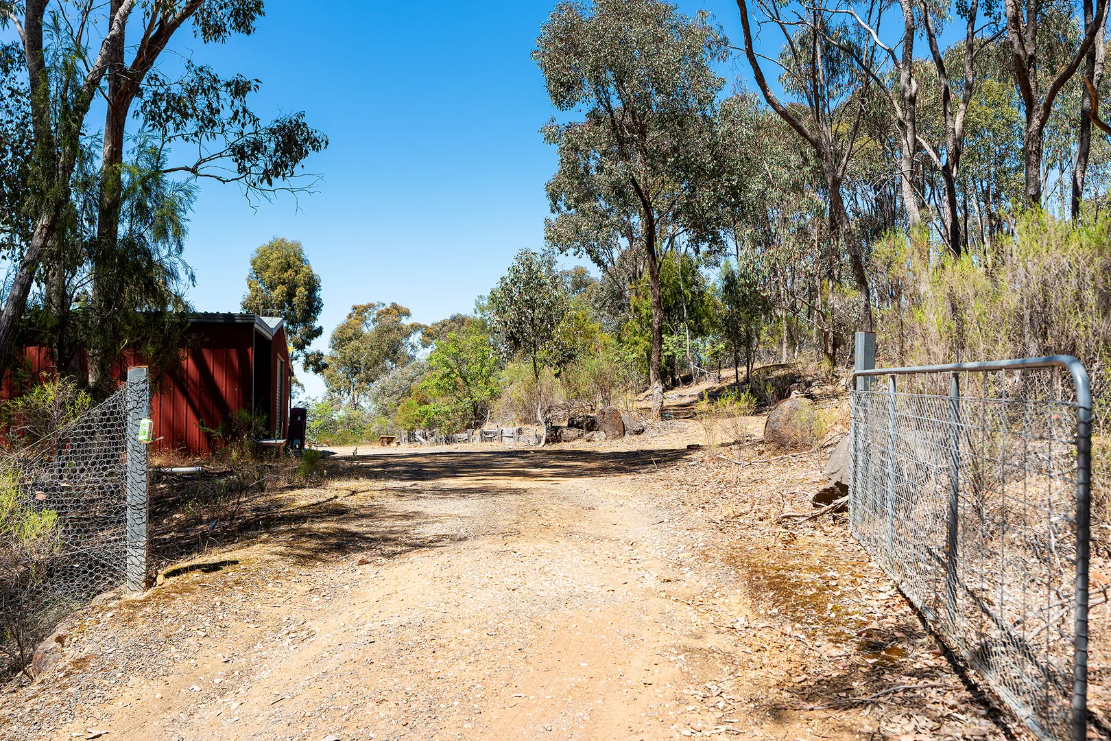 Image 11