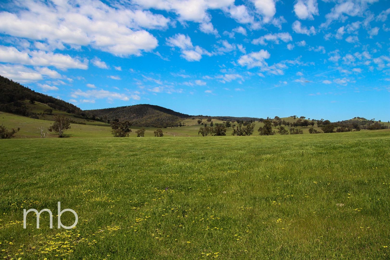 Innisleigh 1108 Reedy Creek Road, Mandagery, Mandagery NSW 2870, Image 1