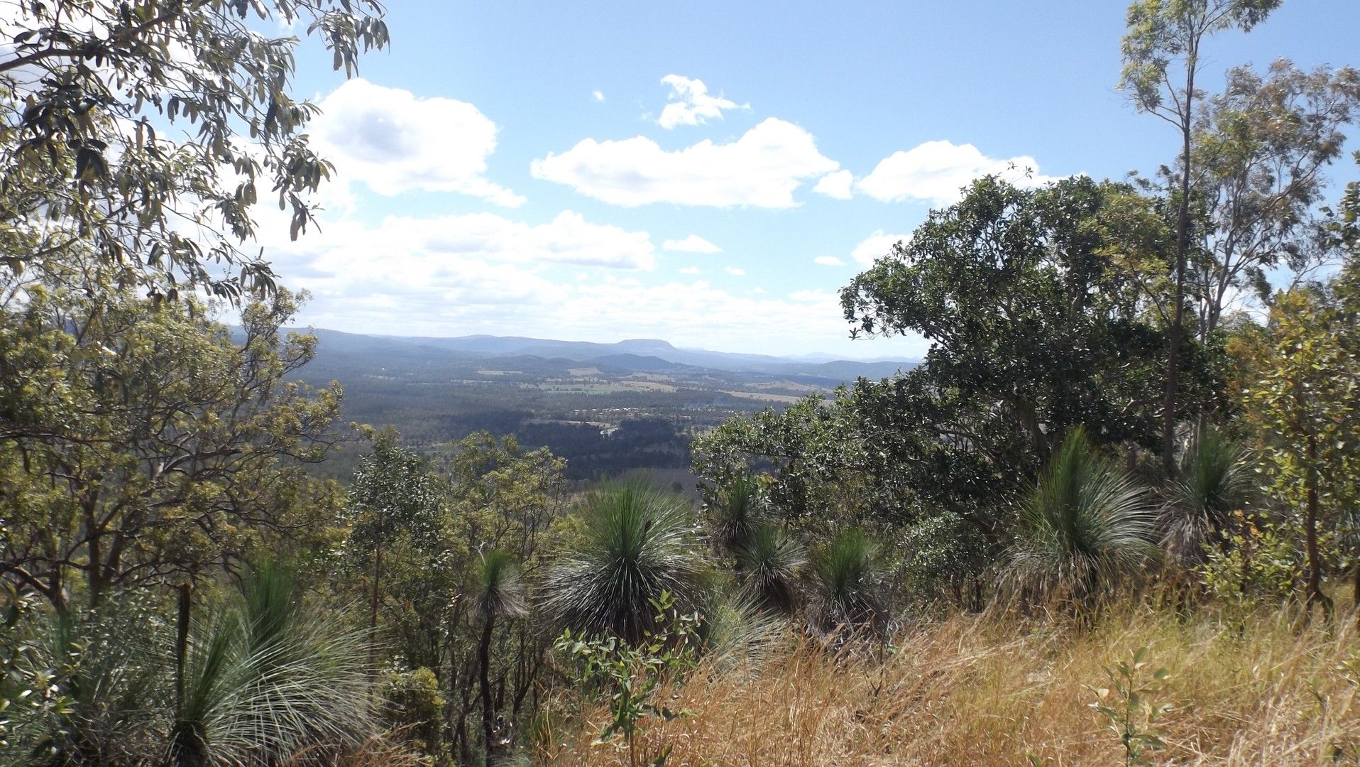 Lot 221 Plains Station Road, Tabulam NSW 2469, Image 0