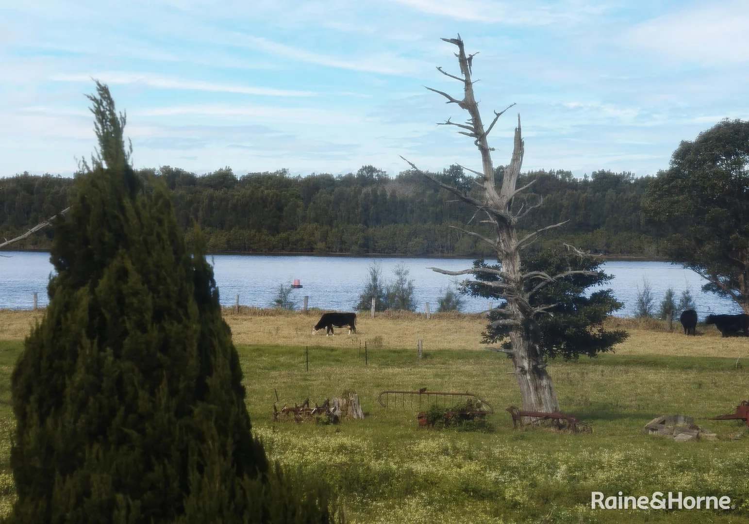 Additional image 29 of 680 Bolong Road, Bolong NSW 2540