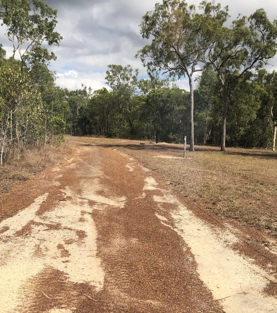Image 15