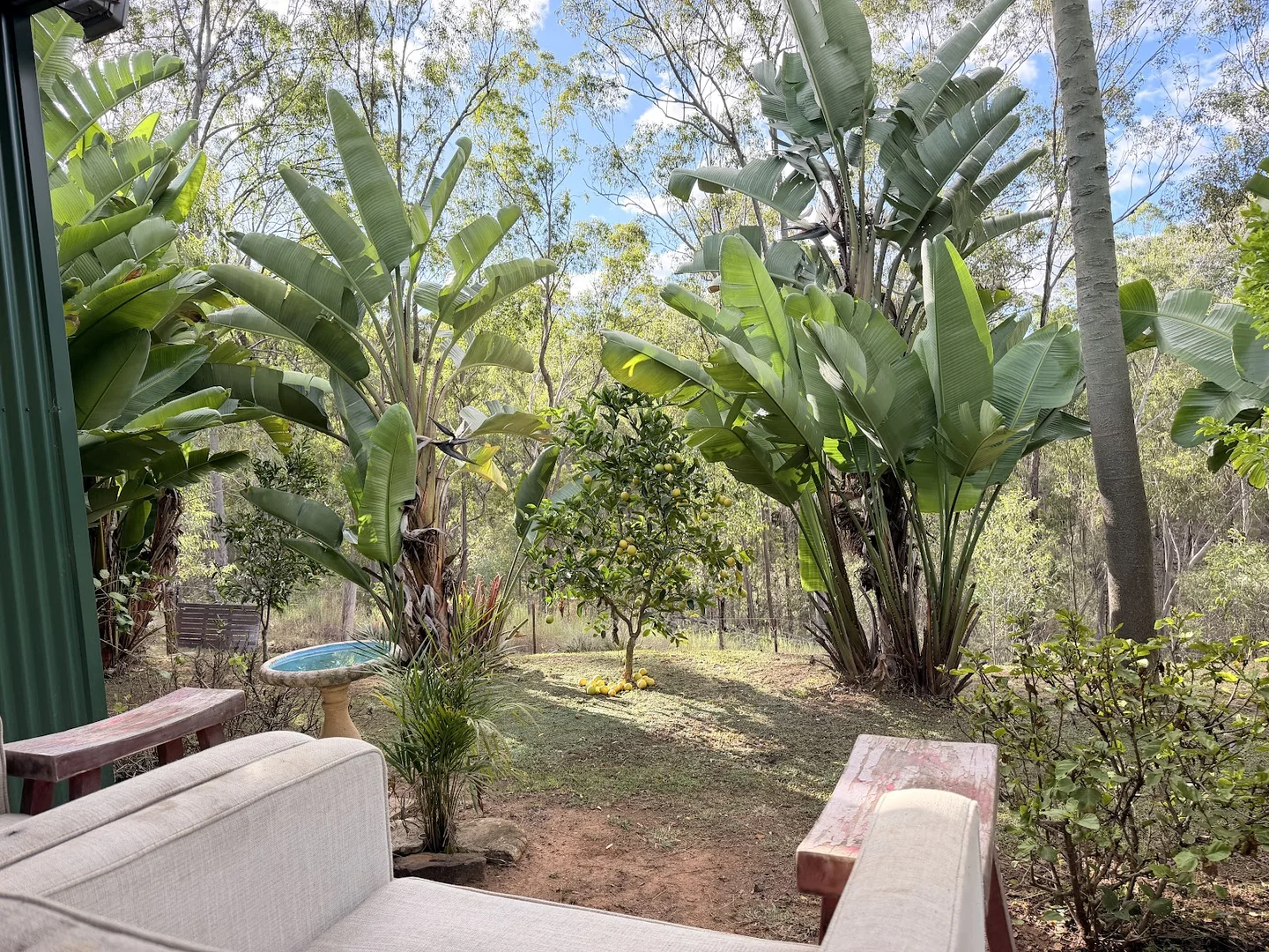Image 10