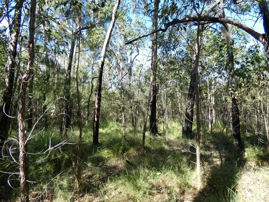 Additional image 30 of 960 Pacific Drive, Deepwater QLD 4674