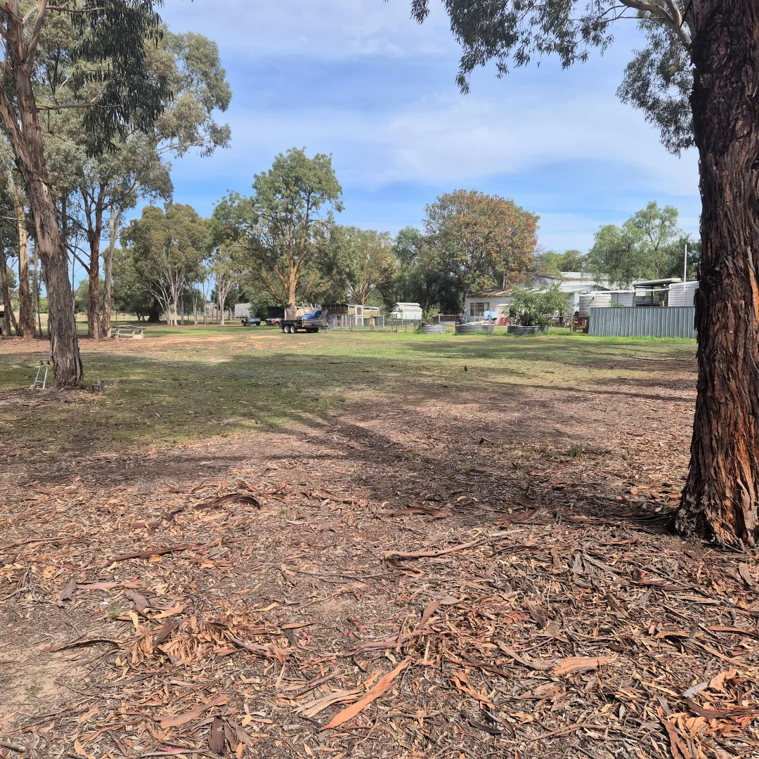 Additional image 23 of 20 Astbury Street, Avoca VIC 3467