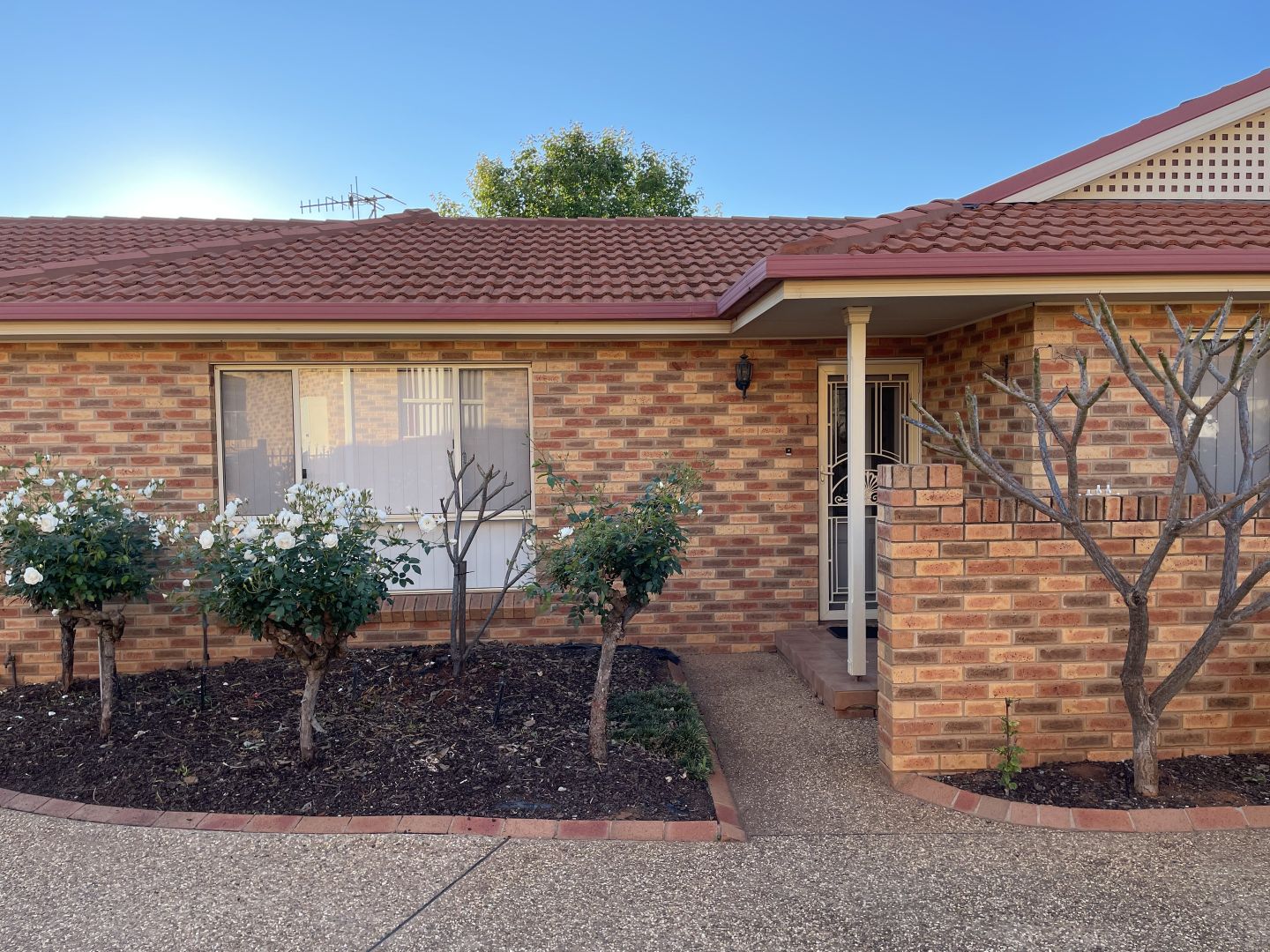 1/3 Worfolk Place, Griffith NSW 2680, Image 1