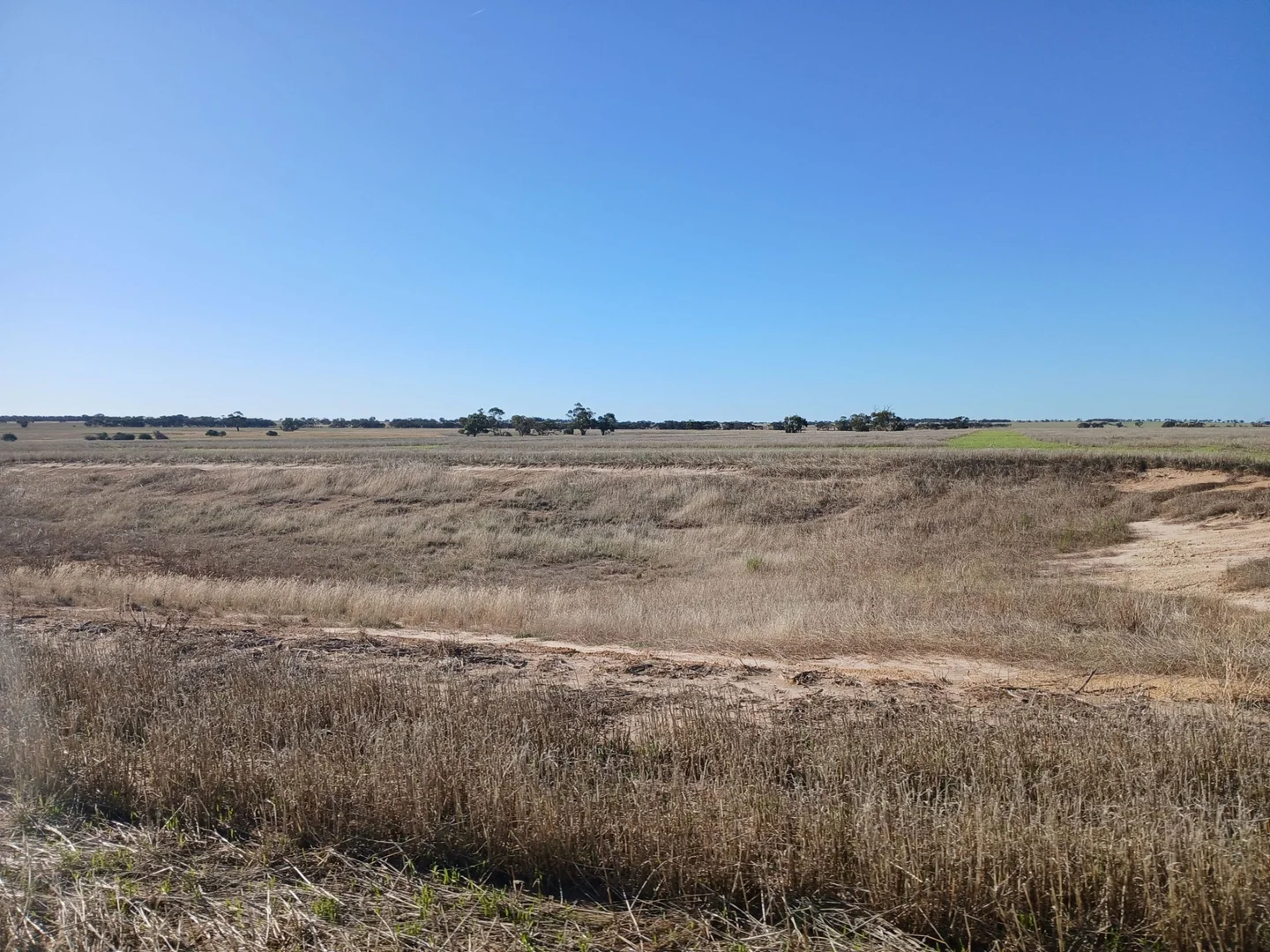 Image 10