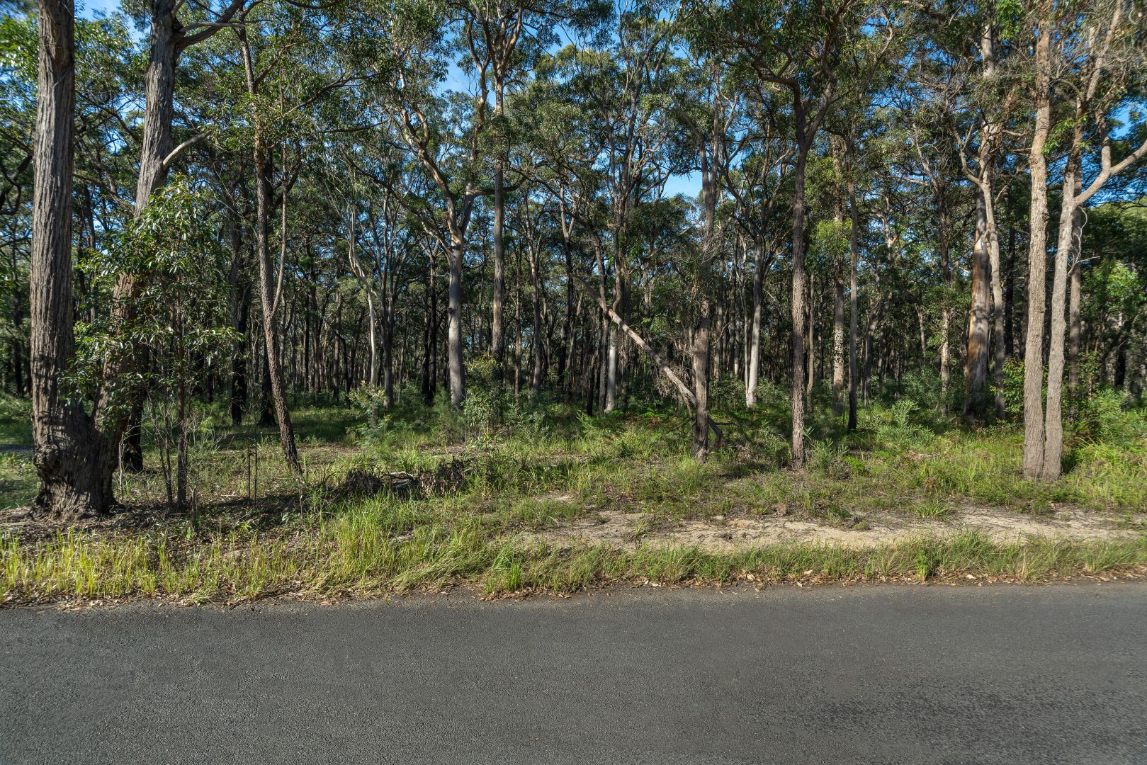 Lot 8 Sheaffe Street, Callala Bay NSW 2540, Image 2