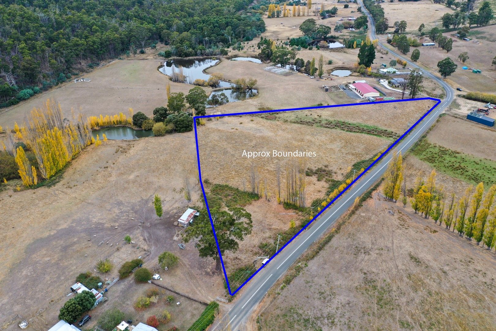 Lot 1 Ellendale Road, Fentonbury TAS 7140 Domain