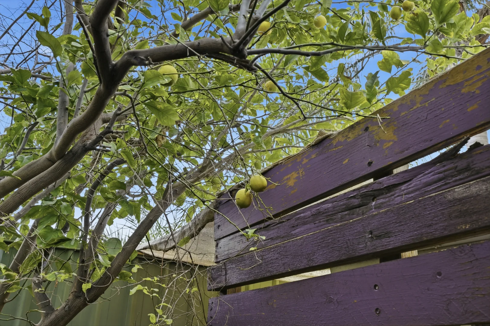 Image 27