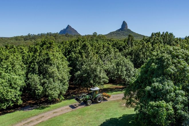 Picture of 269 Coonowrin Road, GLASS HOUSE MOUNTAINS QLD 4518