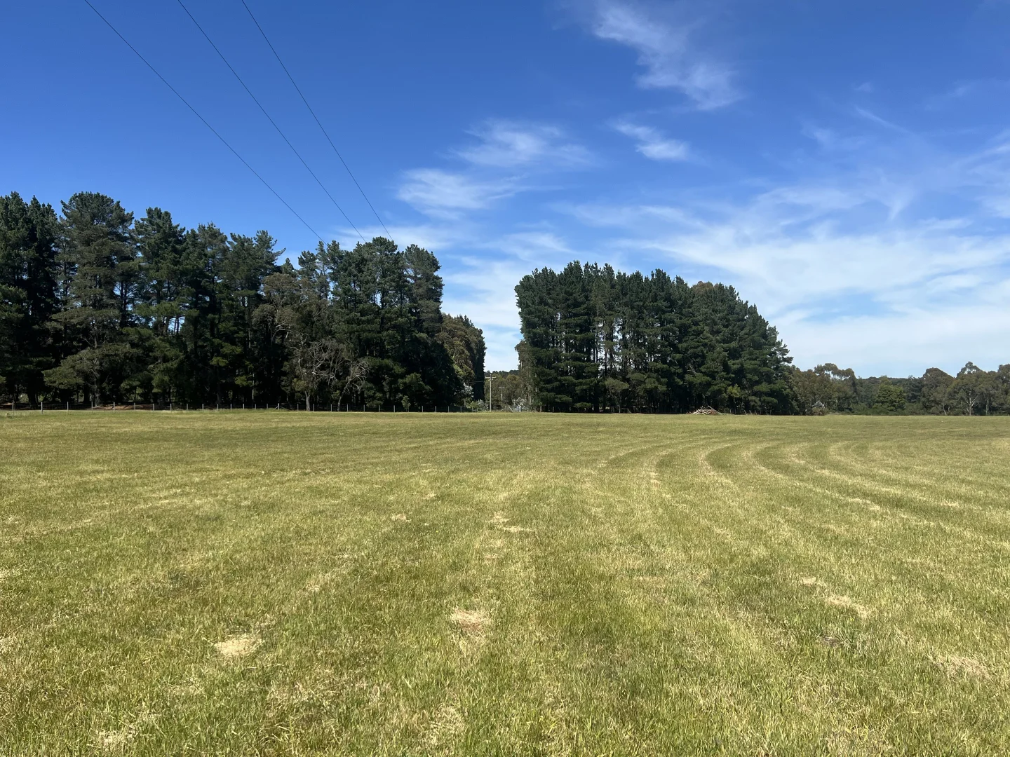 Image 18