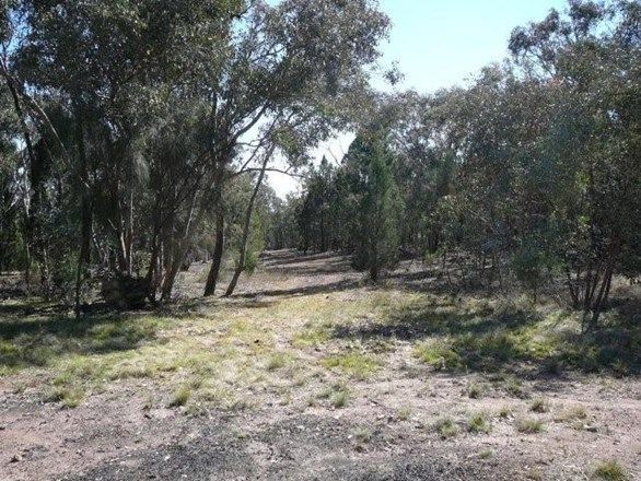 Lot 10  Carinya Estate, Boorowa NSW 2586, Image 2