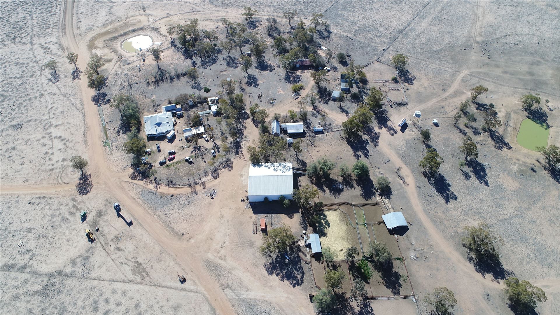 Warren NSW 2824 Farm for Sale Domain