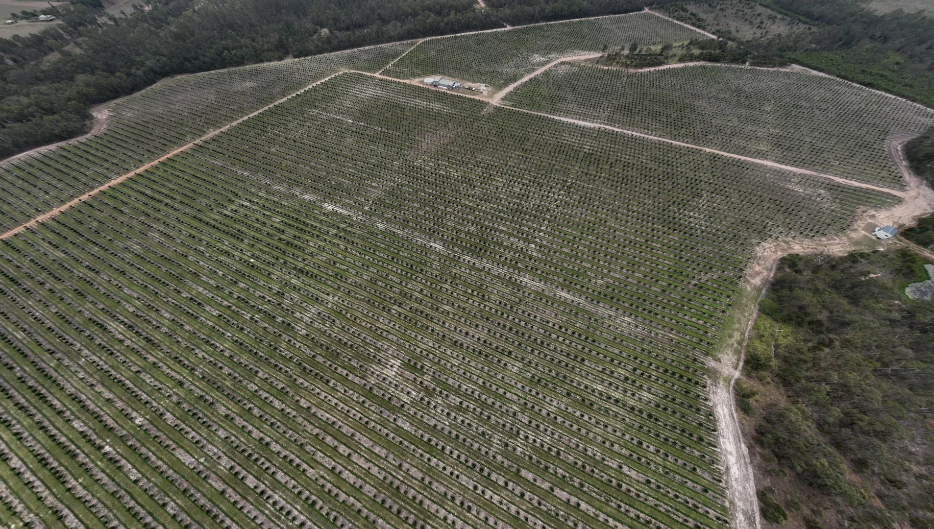 Additional image 8 of Bucca QLD 4670