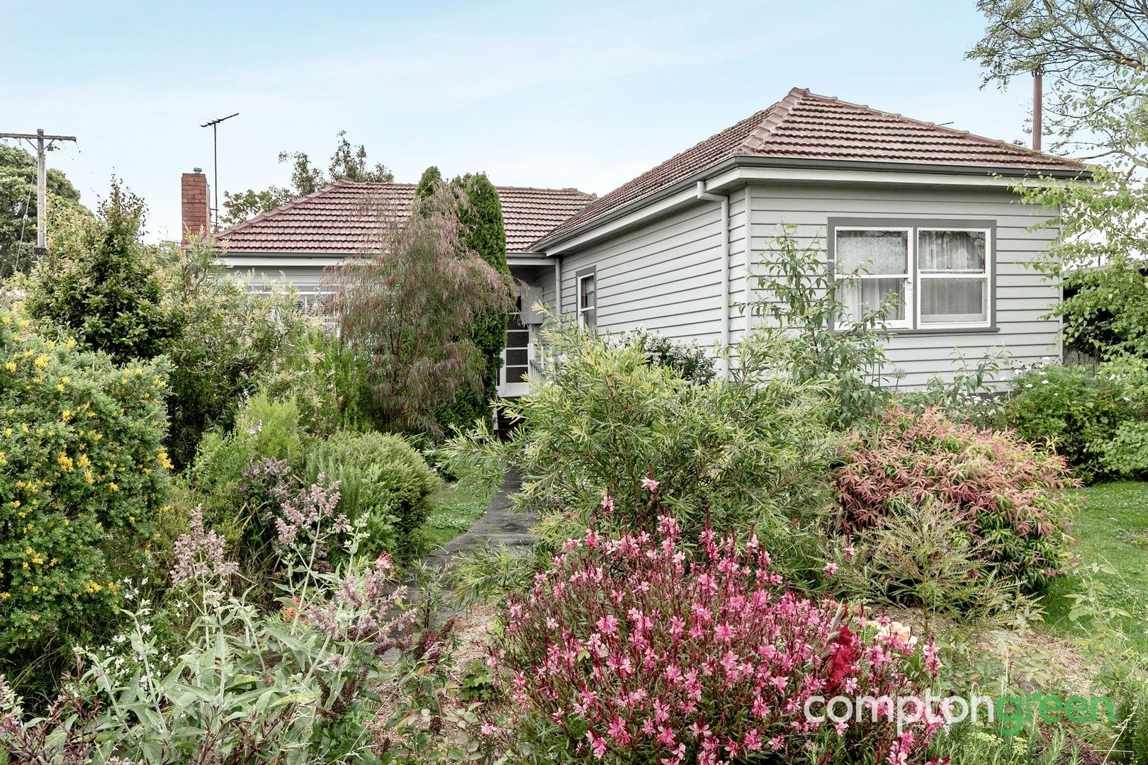 64 Francis Street, Belmont VIC 3216, Image 0