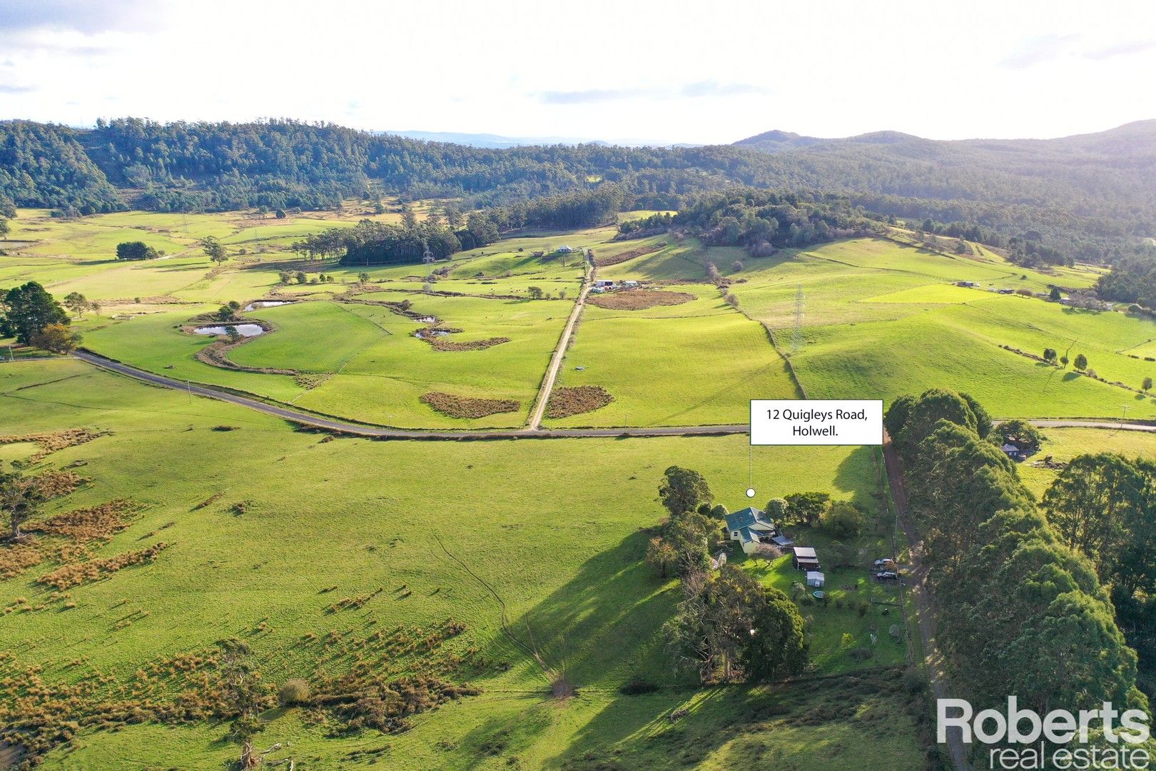 12 Quigleys Road, Holwell TAS 7275, Image 0