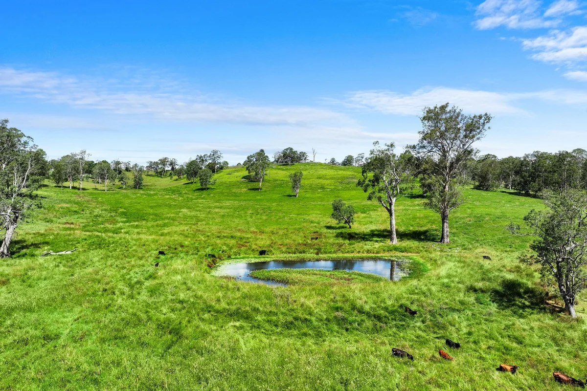 Additional image 13 of 760 Old Dyraaba Road, Woodview NSW 2470