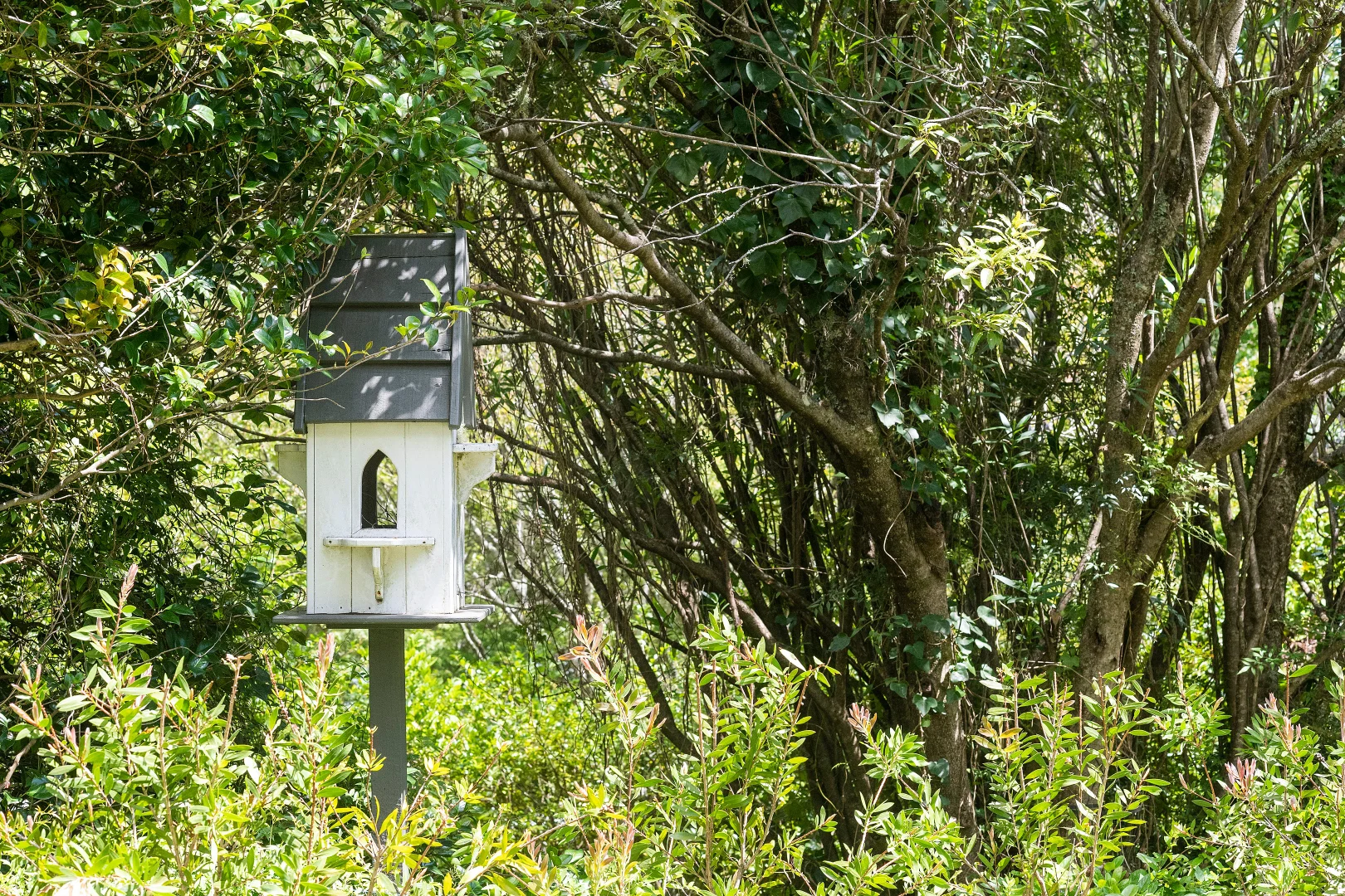 Additional image 43 of 16 Church Street, Bundanoon NSW 2578