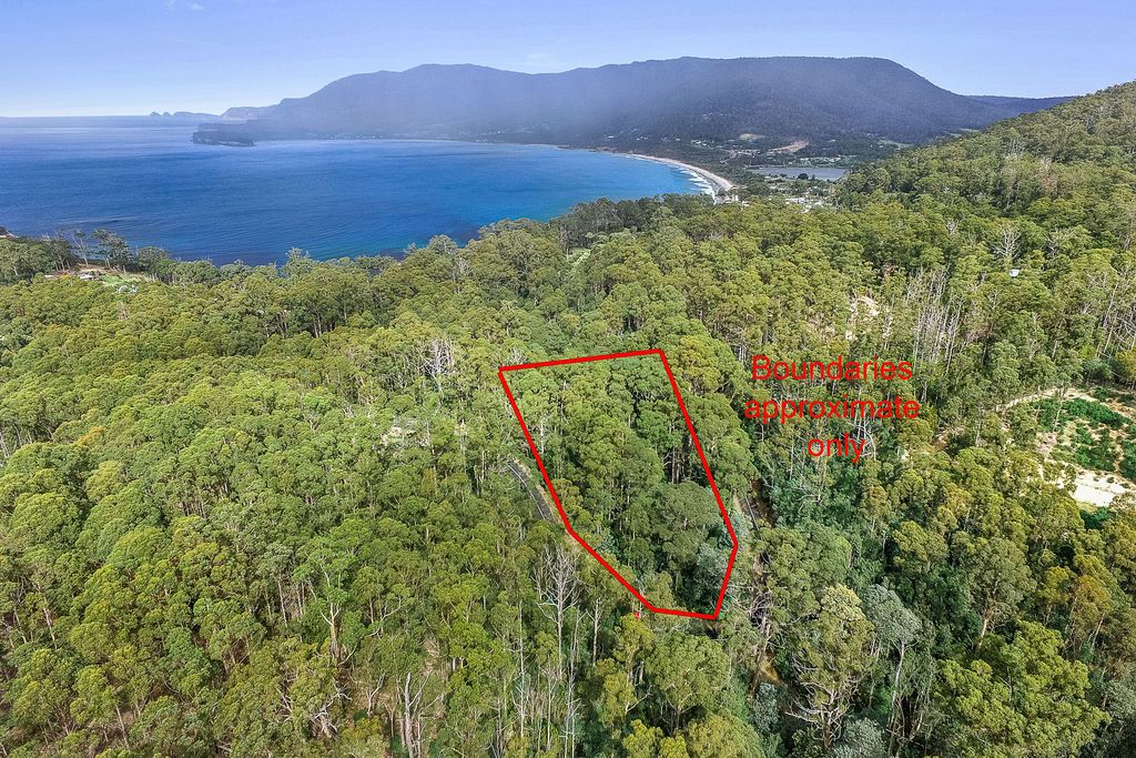 311 Pirates Bay Drive, Eaglehawk Neck Property History & Address