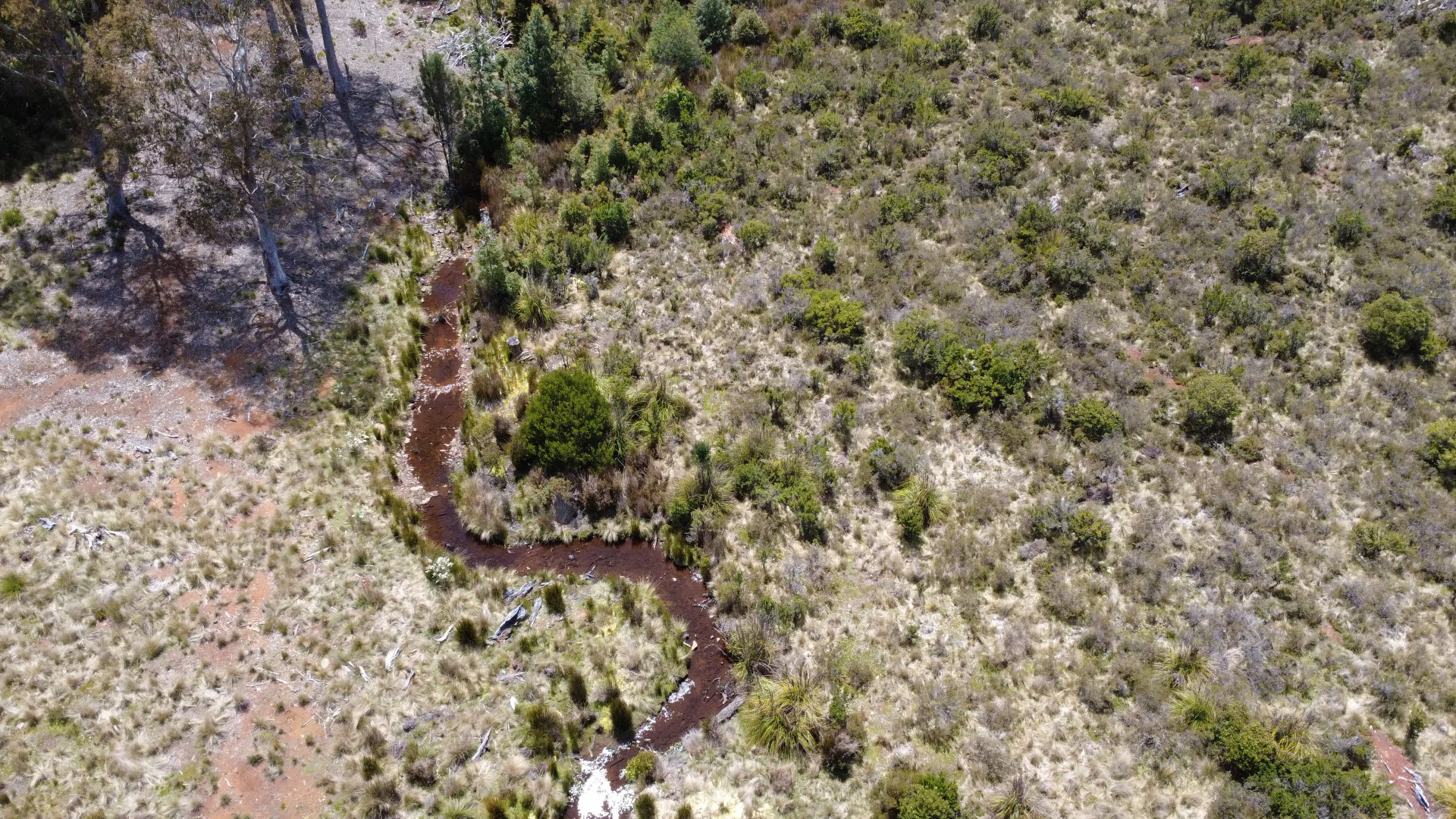 Additional image 12 of 396 Waratah Rd, Waratah TAS 7321