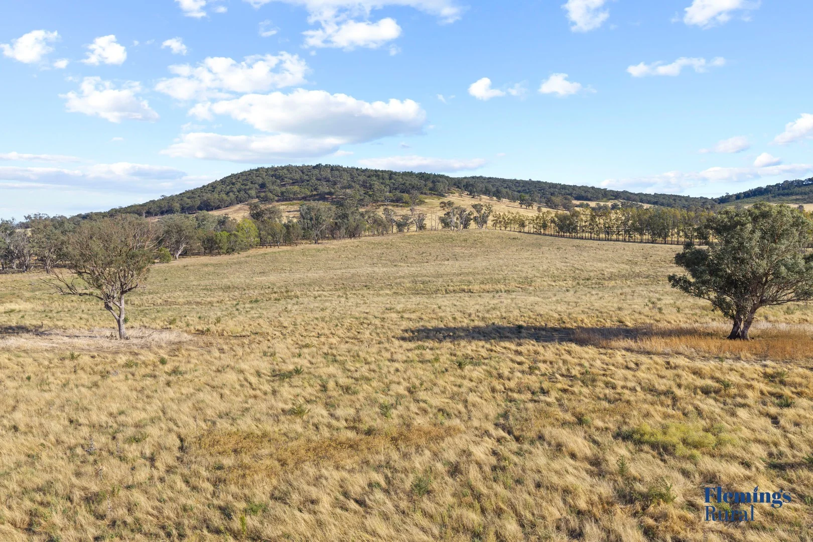 145 Cusack Road, Boorowa NSW 2586