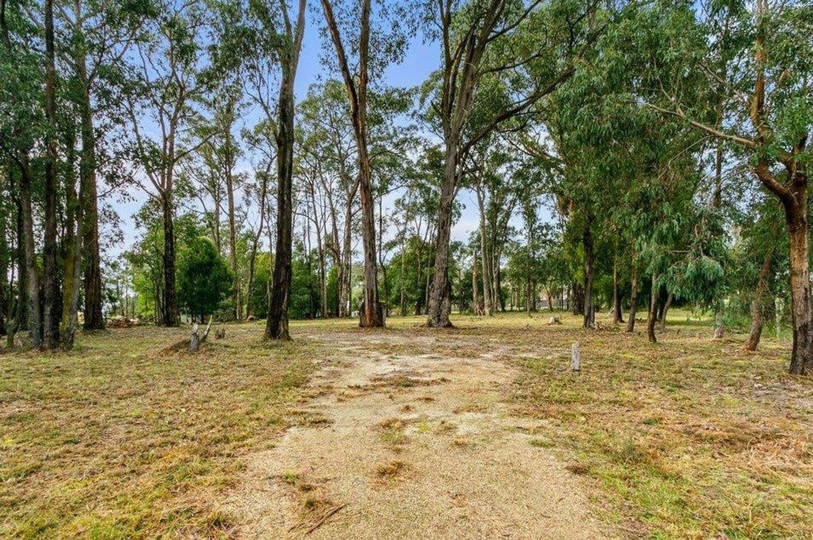 Lot 6 Foster Road, Boolarra VIC 3870, Image 1