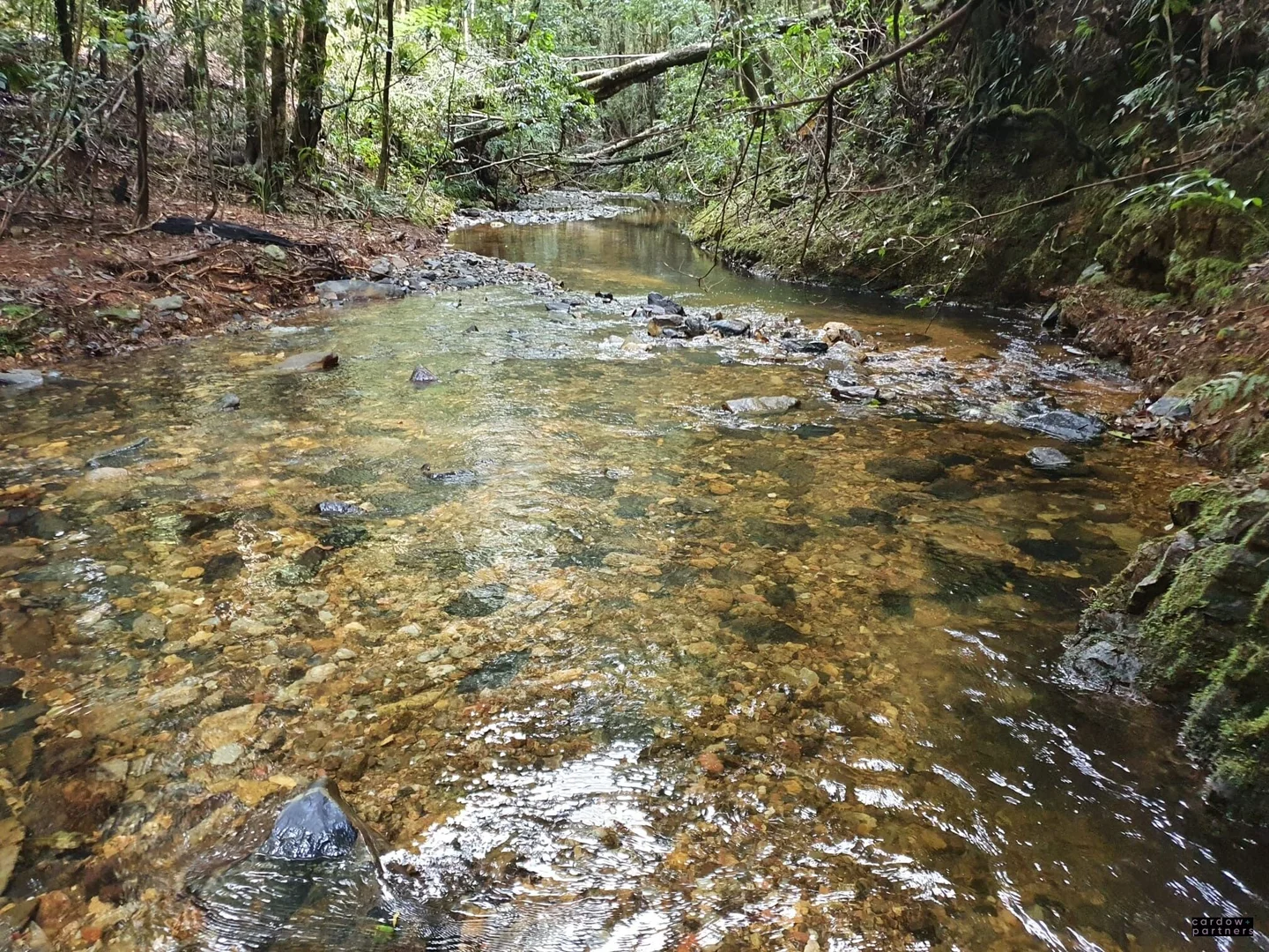 Image 10