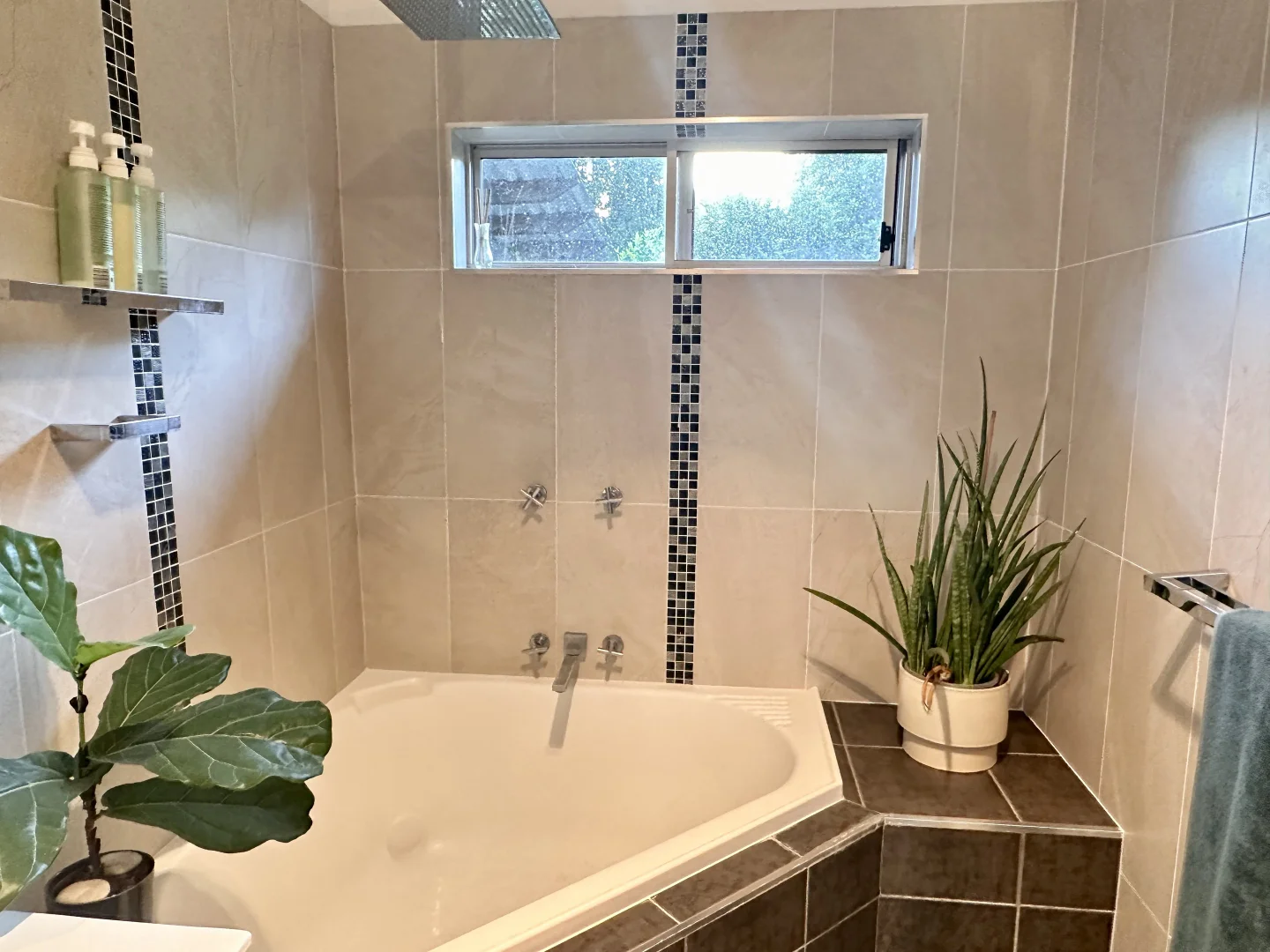 Additional image 9 of 10 Churchill St, South Tamworth NSW 2340