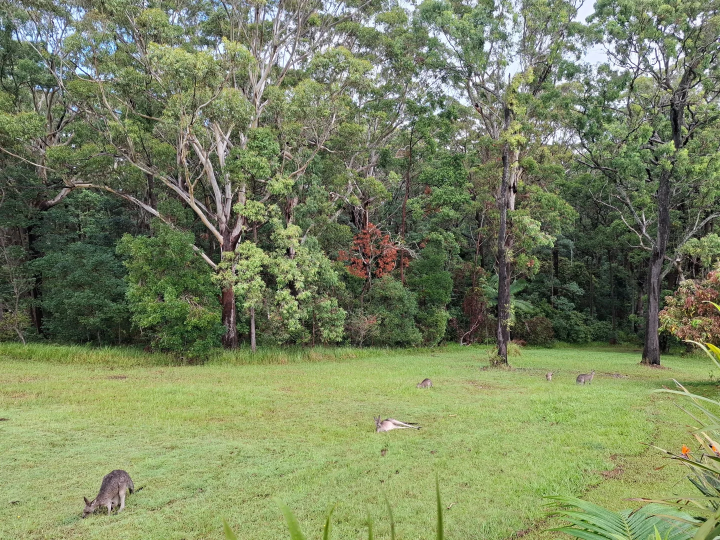 Image 7