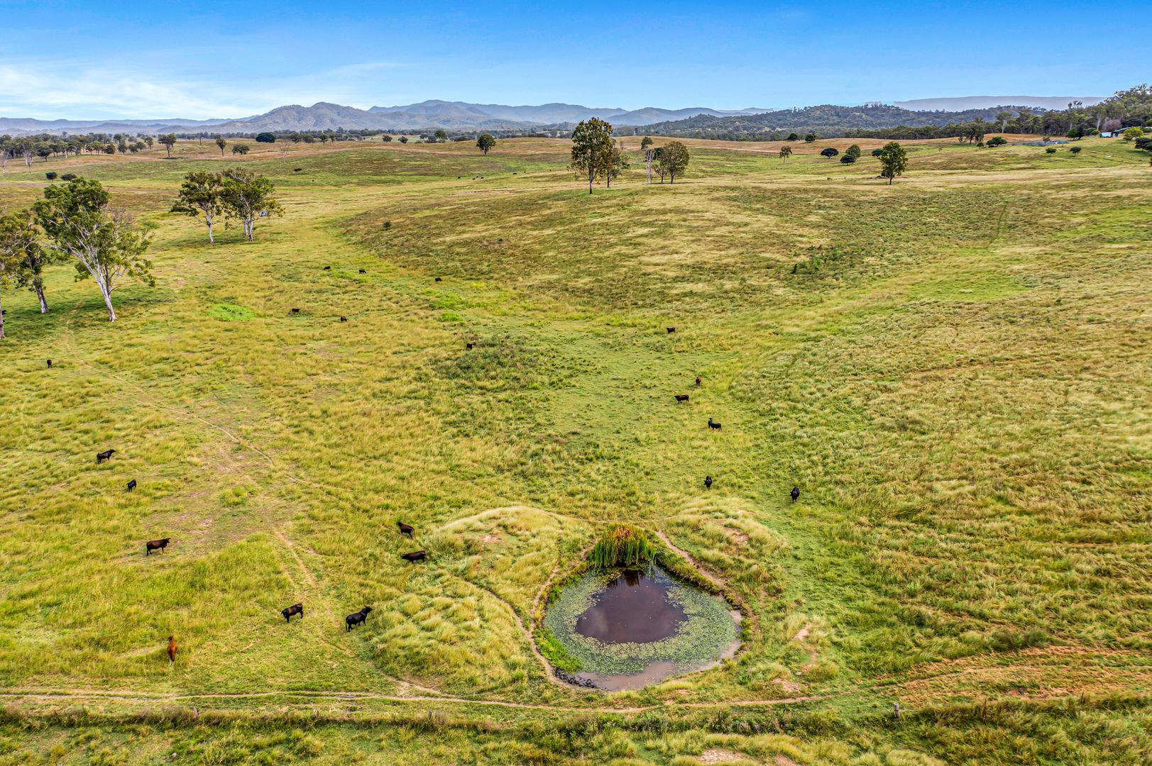 223-279 GENTLE ANNIE Road, Boyne Valley QLD 4680, Image 1