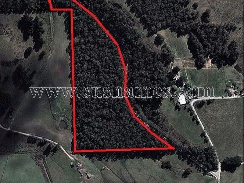 120-190 Sunnyside Road, Railton TAS 7305, Image 2