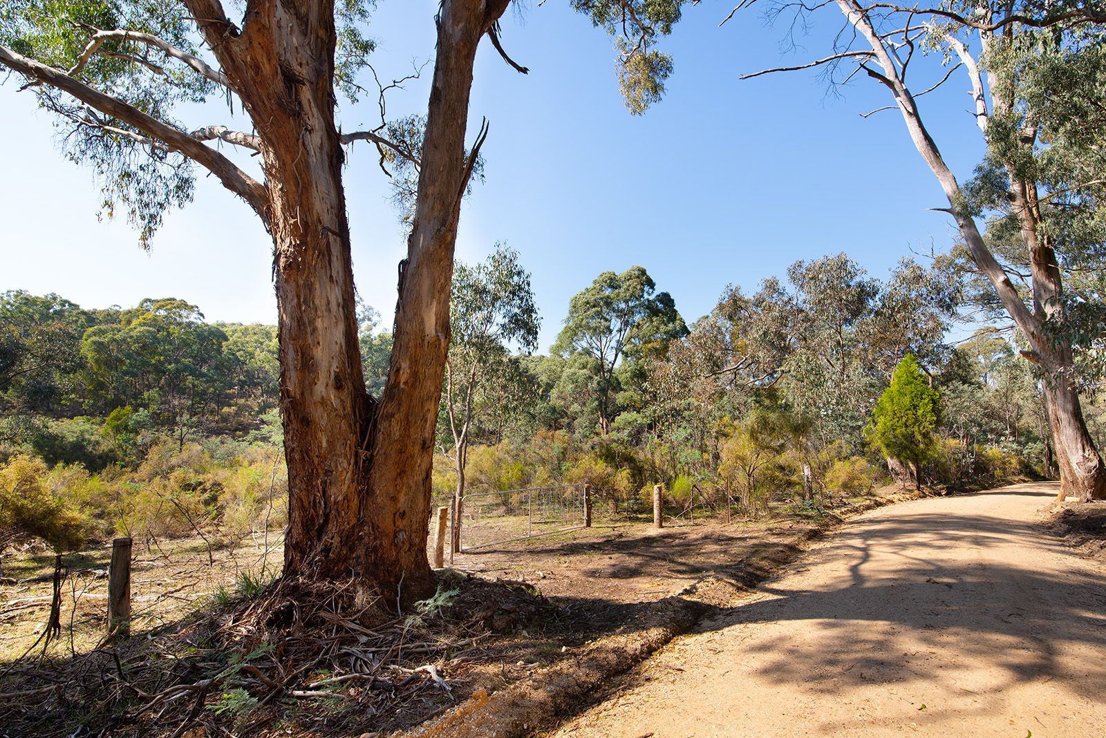 423 White Gum Track, Fryerstown VIC 3451, Image 1