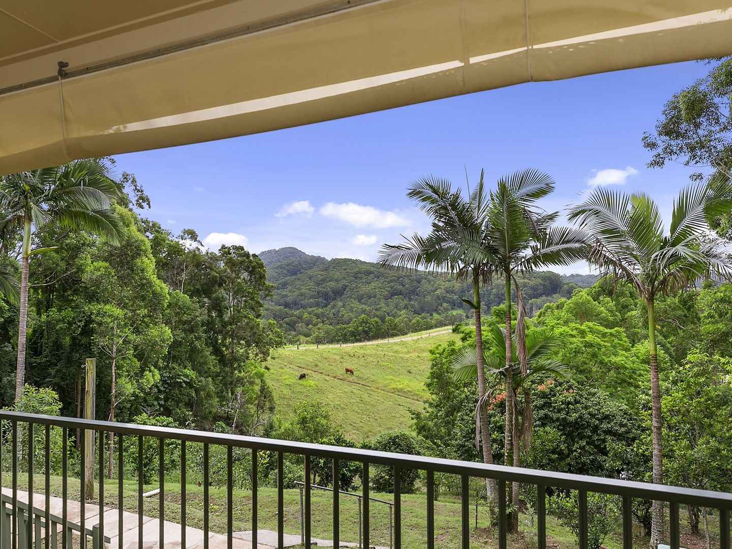 429 Blackall Range Road, West Woombye QLD 4559, Image 1