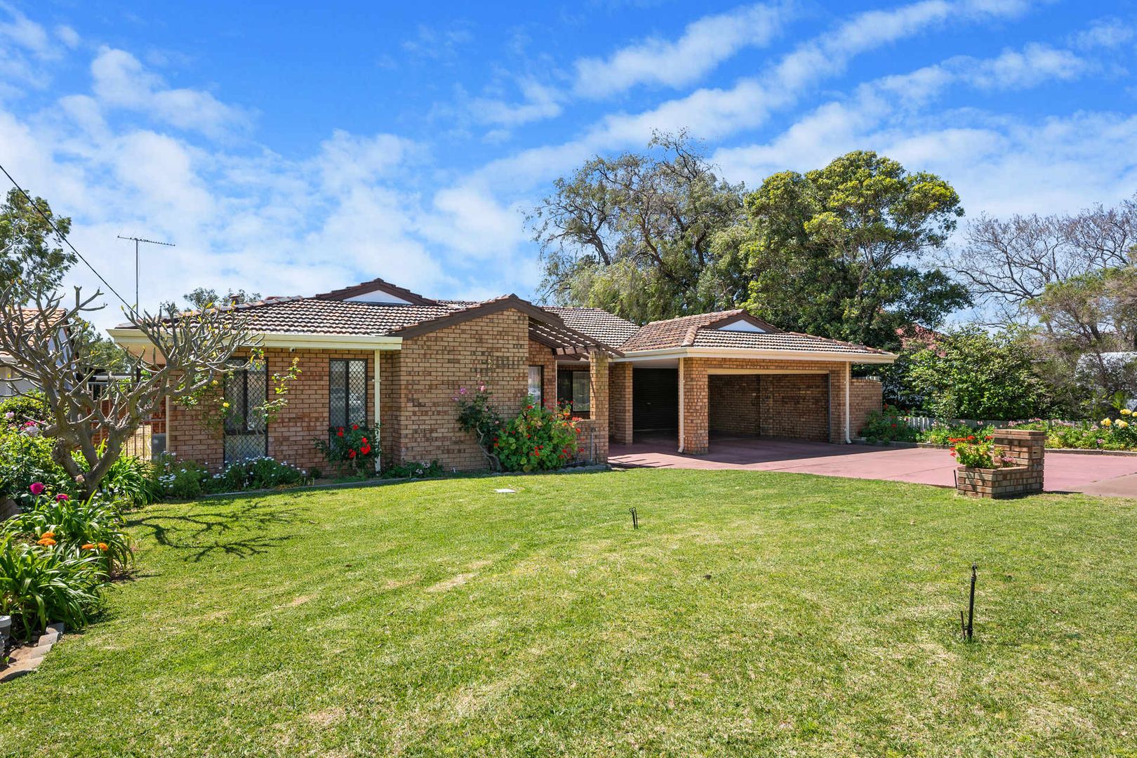 58 Edeline Street, Spearwood WA 6163, Image 1