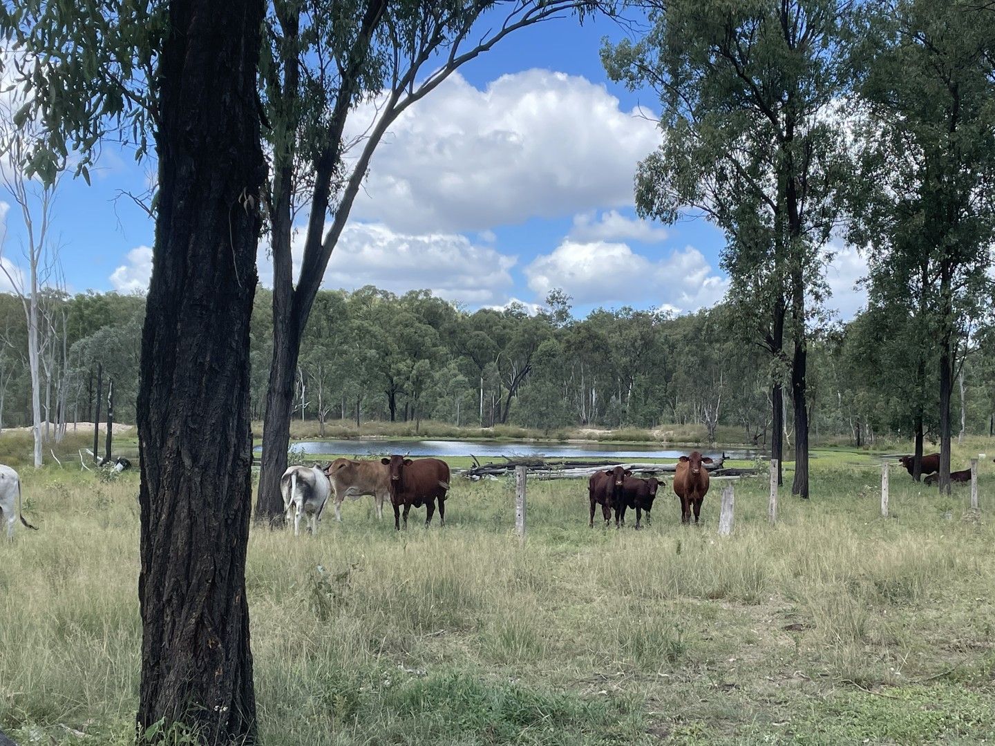 Eidsvold - Cracow Road, Eidsvold QLD 4627, Image 1