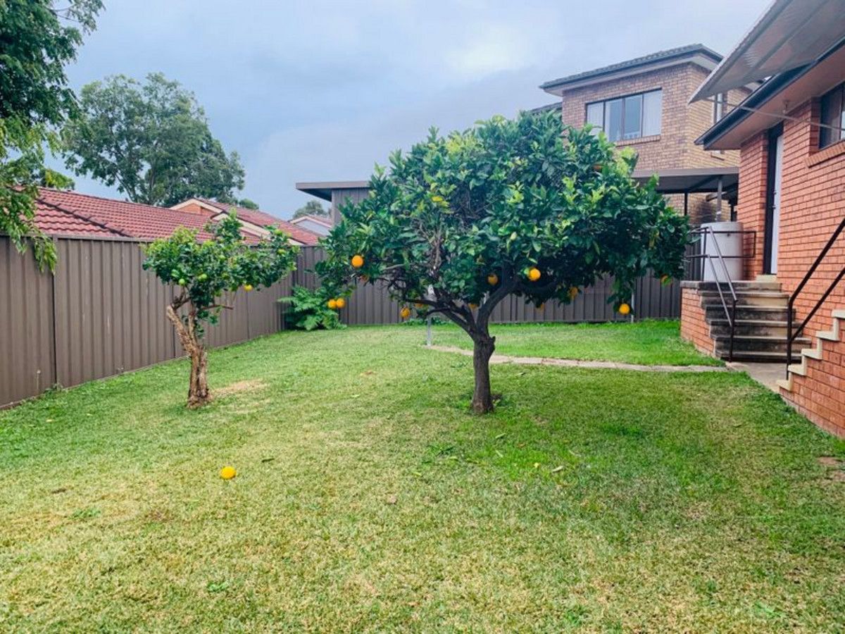 11 Lane Place, Minto NSW 2566, Image 2