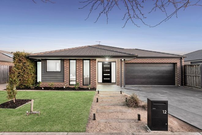 Picture of 12 Kernot Street, BANNOCKBURN VIC 3331