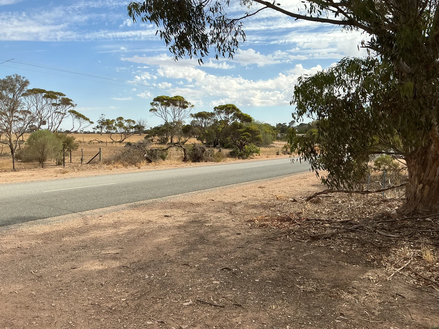 Image 22