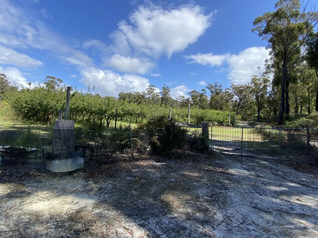 Image 11
