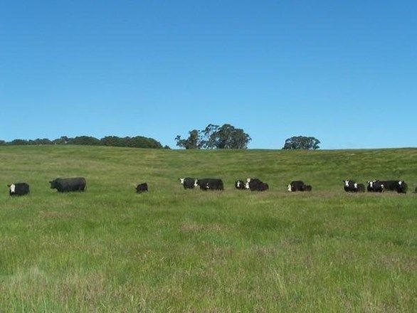 Lot 1 Taralga Road, Laggan NSW 2583, Image 0