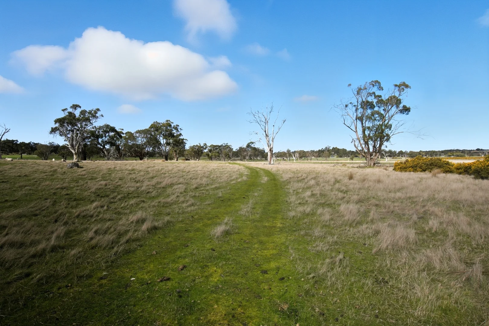 Image 30
