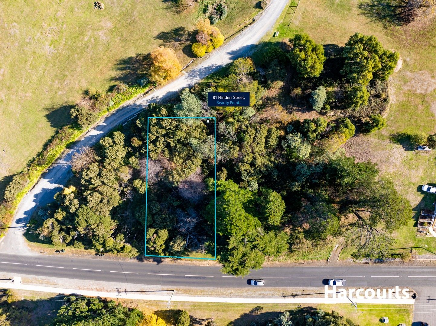 81 Flinders Street, Beauty Point TAS 7270 Domain